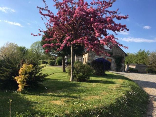 Le Clos Saint Jean Dragey-Ronthon Extérieur photo