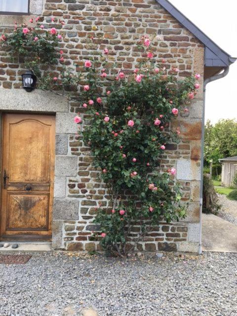Le Clos Saint Jean Dragey-Ronthon Extérieur photo