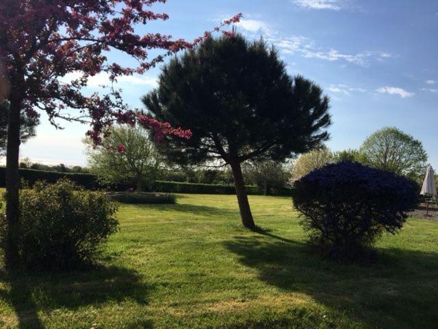 Le Clos Saint Jean Dragey-Ronthon Extérieur photo